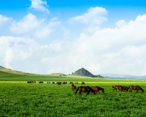 香港-赤峯 火車酒店 自由行