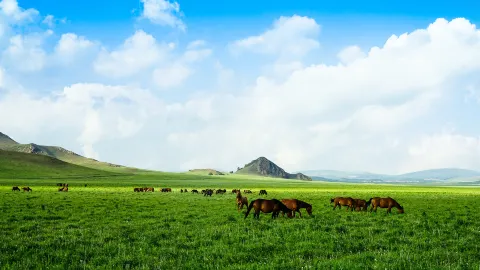 츠펑 travel destination