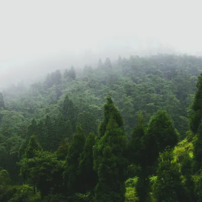 白濱 石垣島 機票