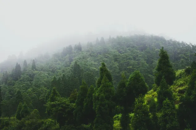 Отели рядом с достопримечательностью «Kyoto University Shirahama Aquarium»