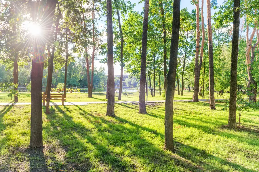 Печальский парк