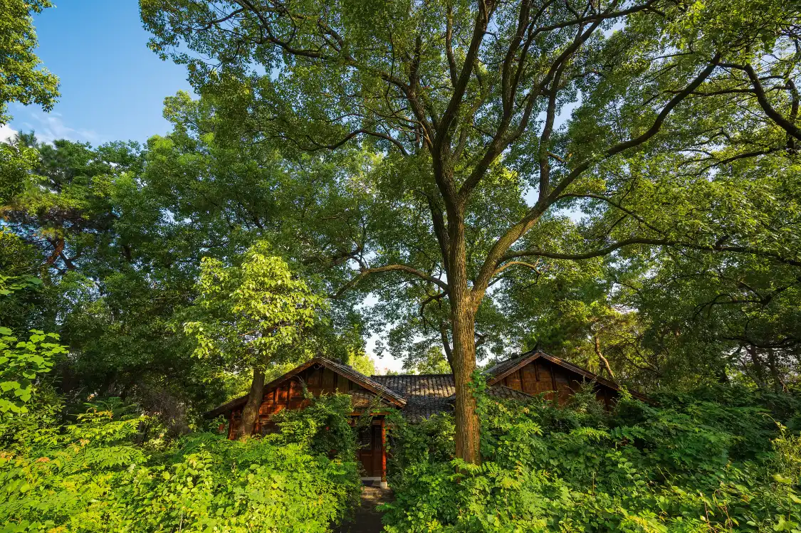 Hotels near Zhushan Dangkou Relics Park