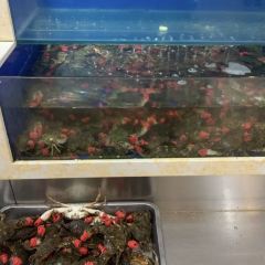 春华海鲜城 User Photo
