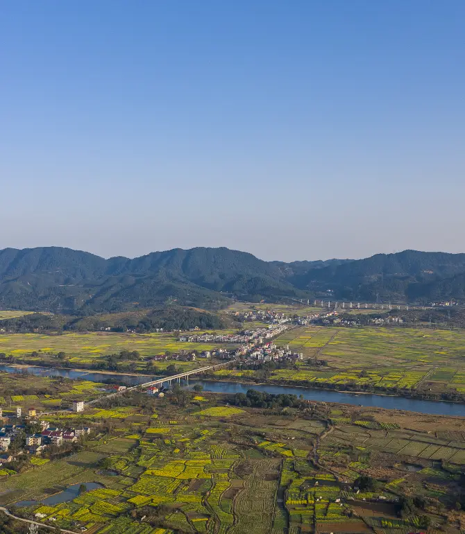 Yongxin