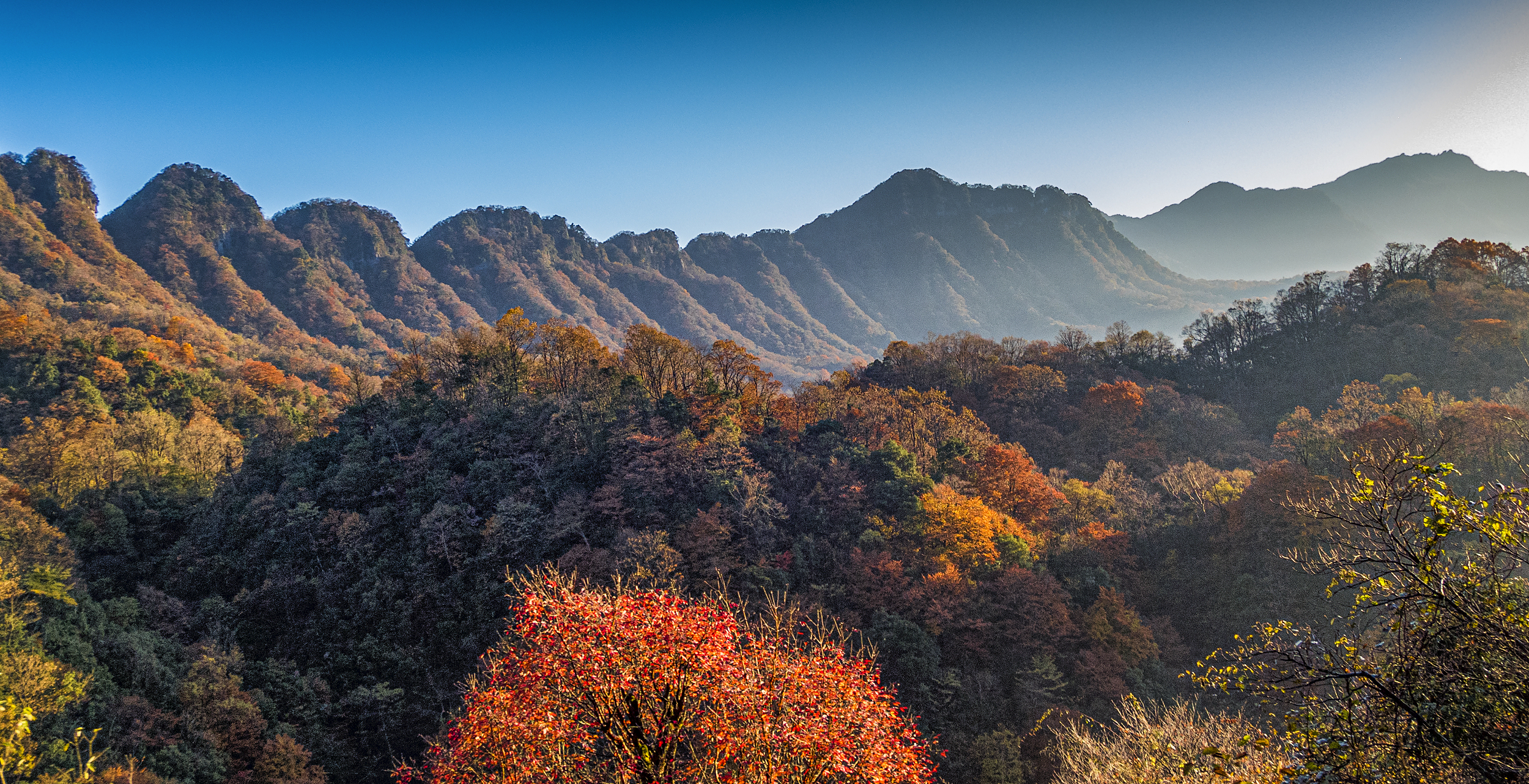 2025 Bazhong Travel Guide: Must-see attractions, popular food, hotels, transportation routes (updated in July)