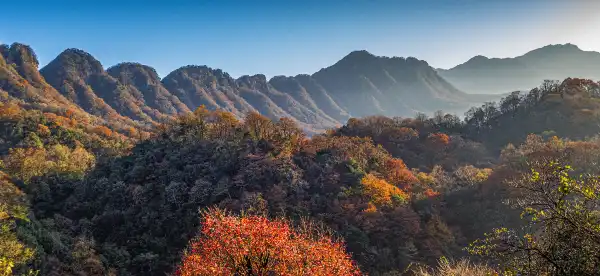 Lavande Properties in Bazhong
