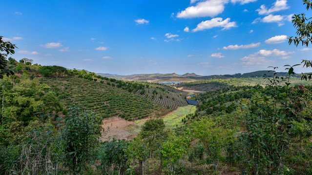 Ten-Thousand-Mu Tea Garden, Dadugang Township
