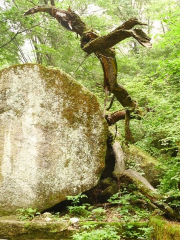 Longquan National Forest Park