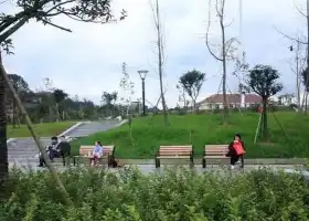 Liujiang River Wetland Park, Quxian County