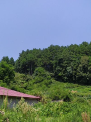 Longxing Temple