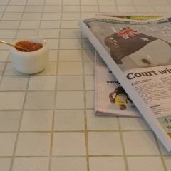 Horse on Heels張用戶圖片