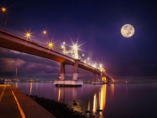 Hotels near Pacific Mall