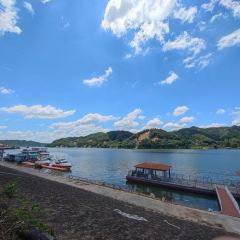 ZHEN YANG FANG User Photo