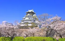 Osaka Castle Park