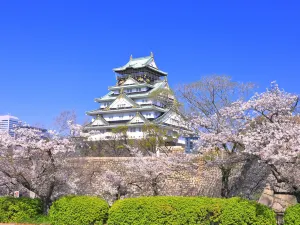 Parc du Château d'Osaka