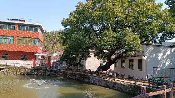 何斯路村