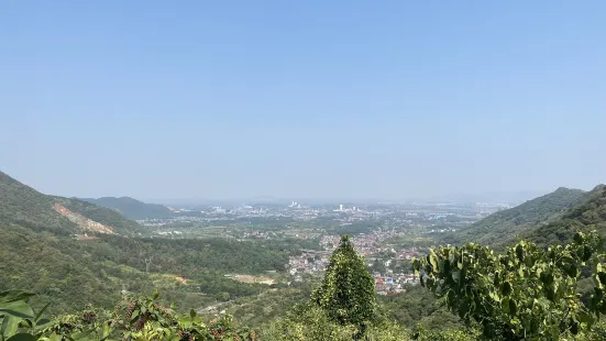 Leishan Scenic Area