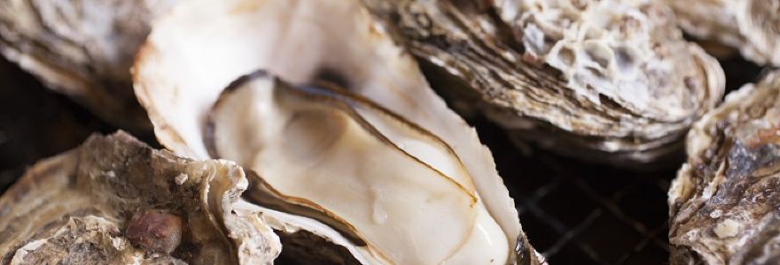 Kaki Goya Naha Sakurazaka