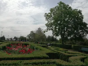 Park "Marghiloman" Buzau