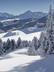 Zoldo Valley Ski Area