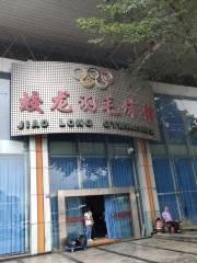 Yonix and Jiatianjian (Yulong) Badminton Gym