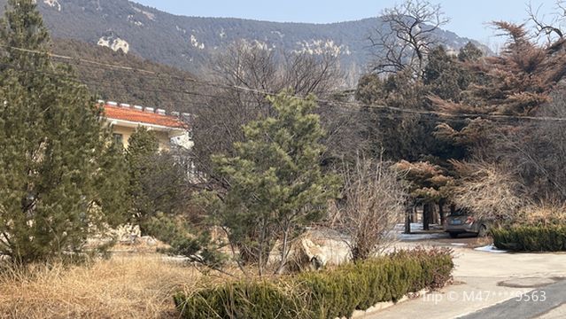 State-owned Wufeng Mountain Forest Farm, Changqing District, Jinan City