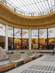 La Ménagerie, le zoo du Jardin des Plantes