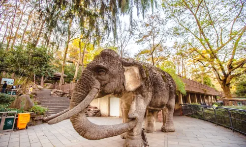 杭州動物園