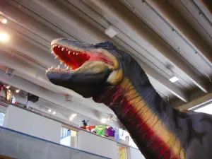 Saint Louis Science Center