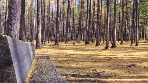 Songyuan Forest Park attraction in Mohe