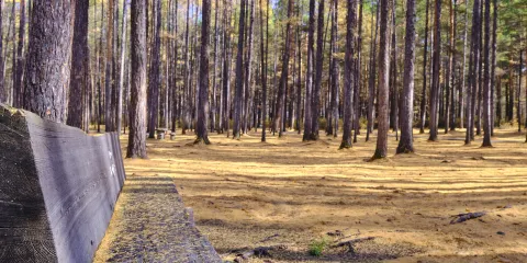 松苑公園