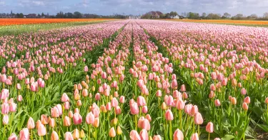 Noord-Holland