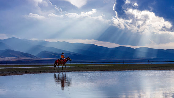 Horse Riding in Qinghaihu