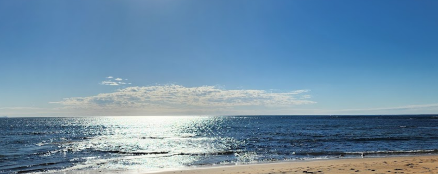 Long Reef Headland