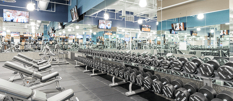 Fitness 19