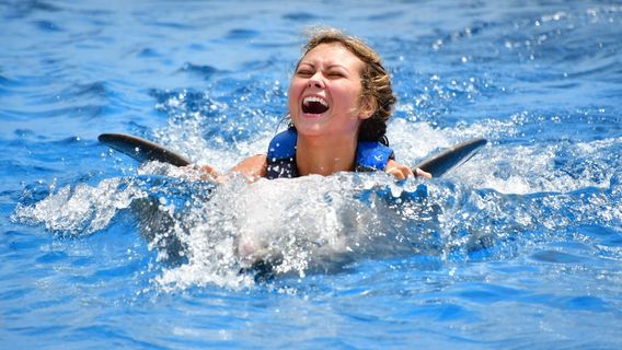 Marineland Dolphin Adventure