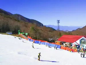 Kamui Misaka Ski