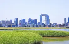 Yodogawa Riverside Park - Nishinakajima Area