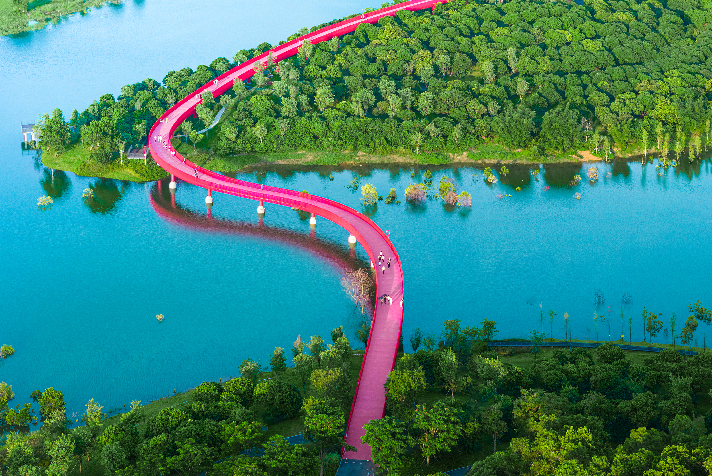 光明區虹橋公園