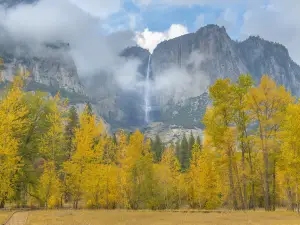 Popular Fall Viewing Attractions in Mammoth Lakes
