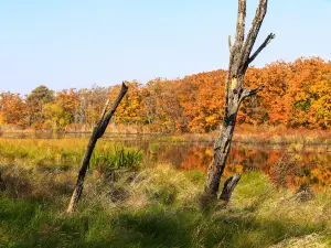 Popular Fall Viewing Attractions in Jixi