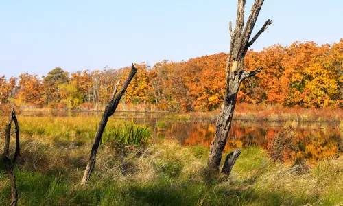 Xingkai Lake Westland Park