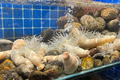 健眺小海鲜(临海后山店)