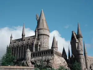 The Wizarding World of Harry Potter