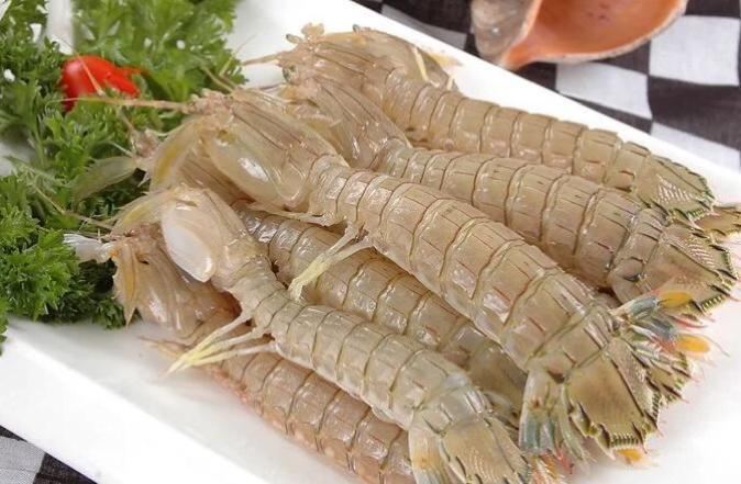 皮皮虾