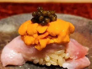 Sushi Solar