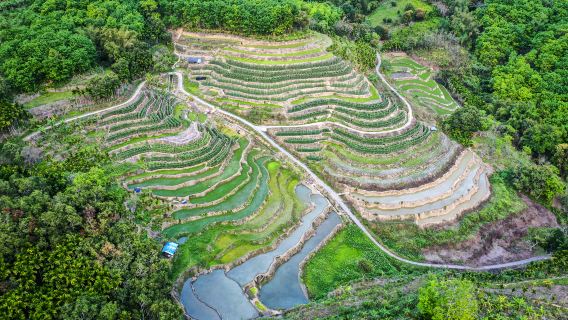 Yahu Rice Terraces
