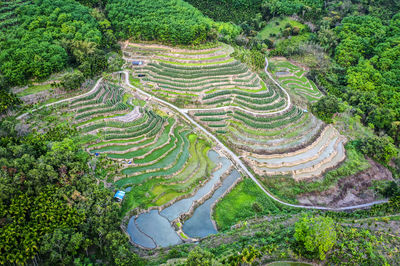 Yahu Terraced Fields Scenic Area