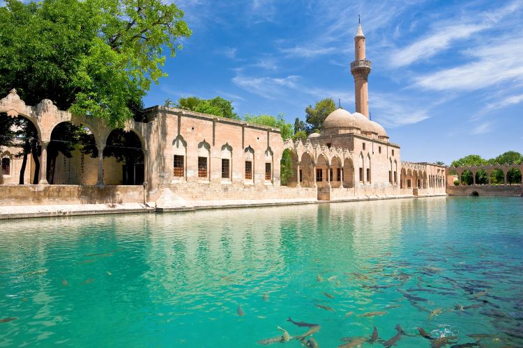 Compare 5 airports near Sanliurfa