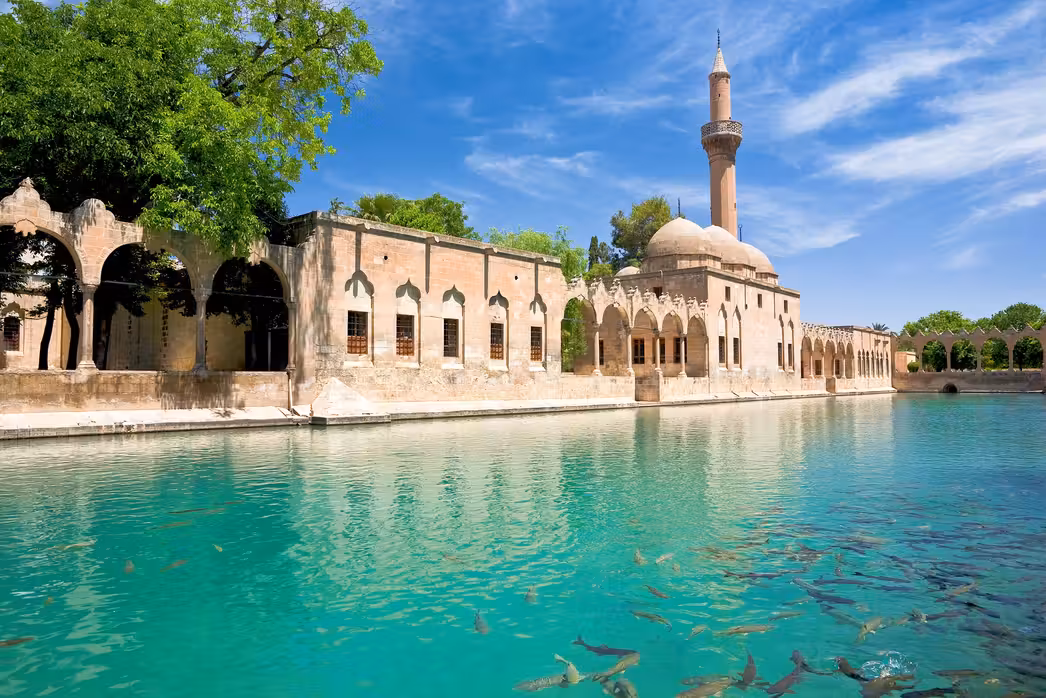 ${{cityDName}} to Sanliurfa Flights